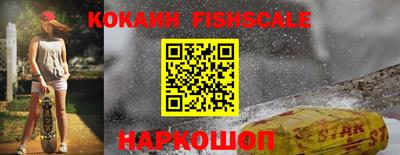 дмт Камышлов
