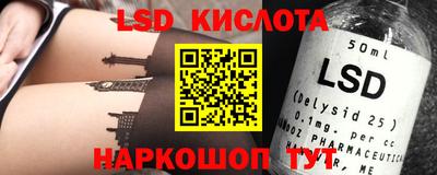 прущие грибы Кандалакша