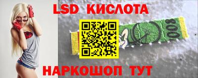 прущие грибы Кандалакша