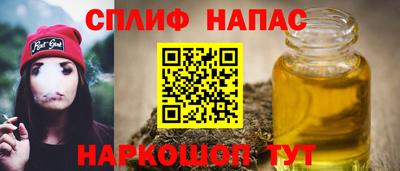 прущие грибы Кандалакша
