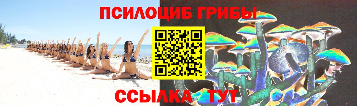 Галлюциногенные грибы GOLDEN TEACHER  Вход с VPN  Кулебаки 